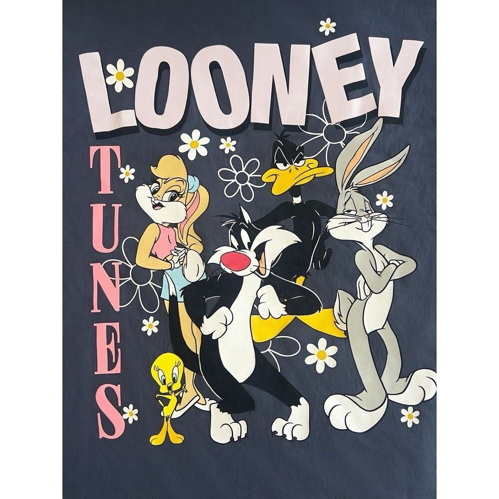Looney Tunes Women XXL 20 Gray Bugs Bunny Lola Tweety Daffy Double Sided T-Shirt